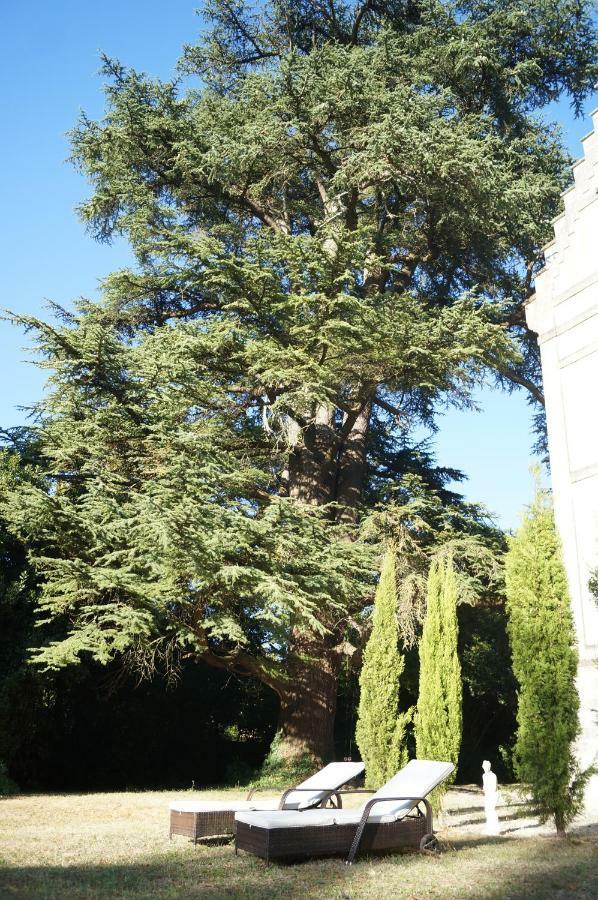 Chateau Le Parc De Mirambeau Mirambeau  Exterior photo